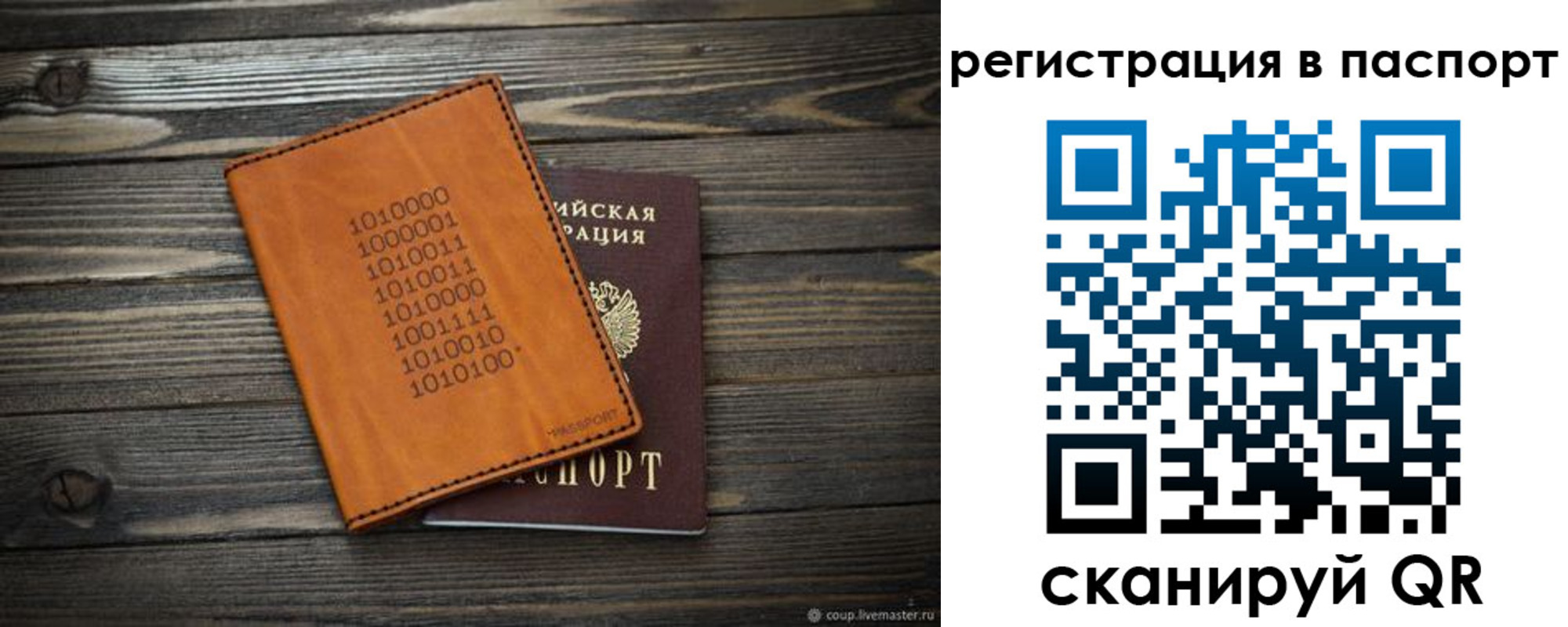 прописка для школы в Палласовке